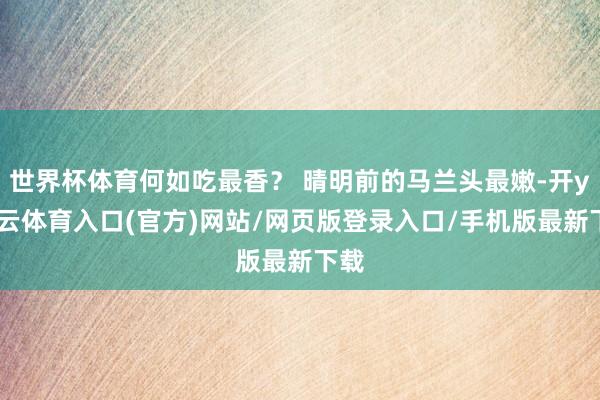 世界杯体育何如吃最香? 晴明前的马兰头最嫩-开yun云体育入口(官方)网站/网页版登录入口/手机版最新下载