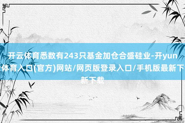 开云体育悉数有243只基金加仓合盛硅业-开yun云体育入口(官方)网站/网页版登录入口/手机版最新下载